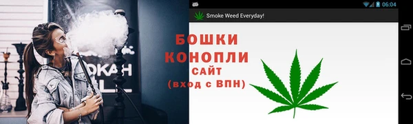 дживик Тихвин