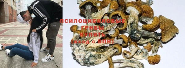 дживик Тихвин