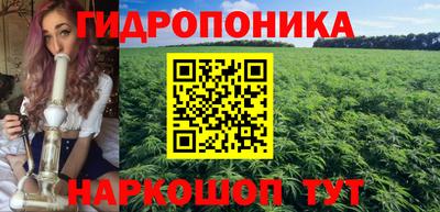 шишки Донецк