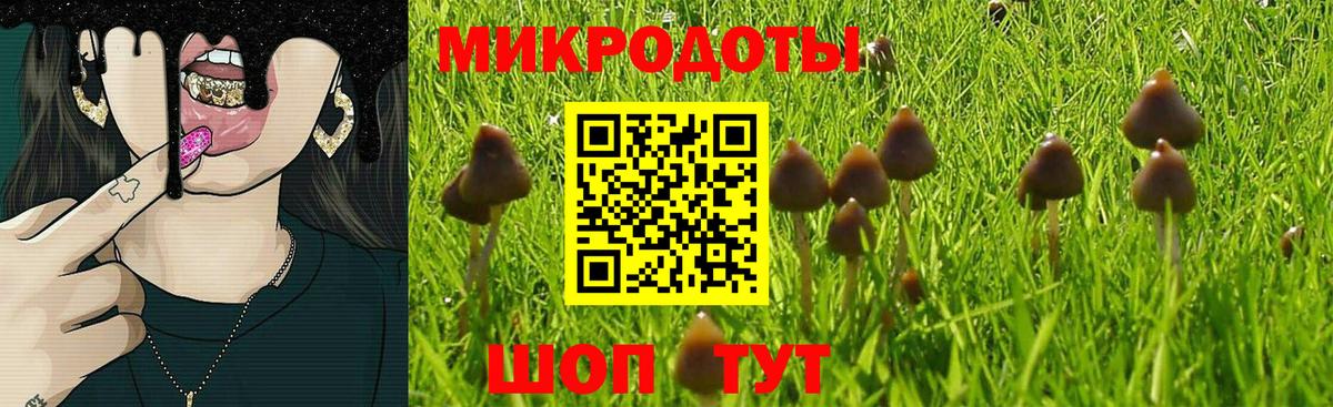 Псилоцибиновые грибы мицелий  Вход с VPN  Назарово 